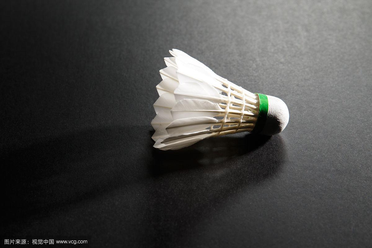 庭中的延续 庭中的延续