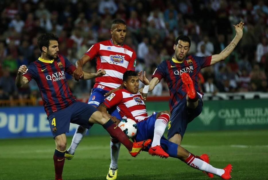 运动融合 运动融合