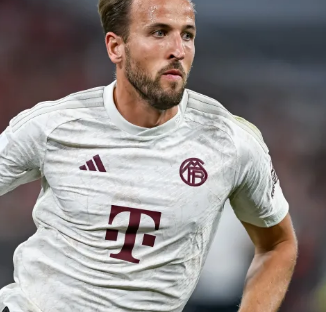 维登科争冠 维登科争冠