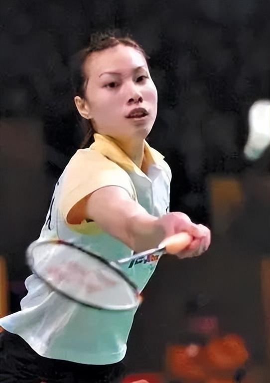 都将纳入 都将纳入